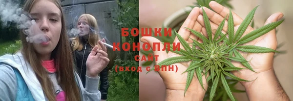 ПСИЛОЦИБИНОВЫЕ ГРИБЫ Касимов