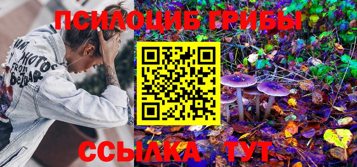 Псилоцибиновые грибы Cubensis Печора